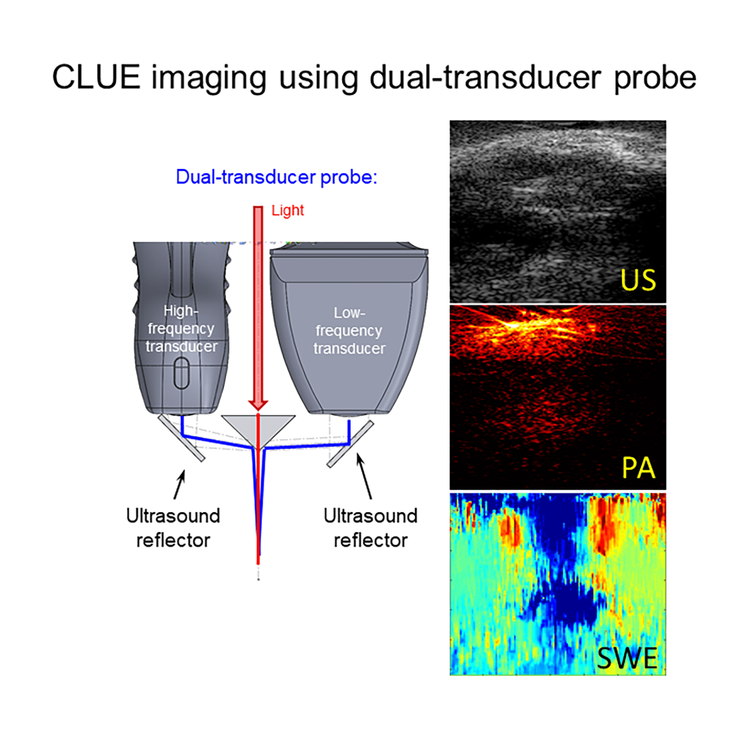 Multi-Transducer Probe for Combined Ultrasound, Photoacoustic and SWE Imaging
